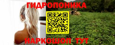 прущие грибы Донской